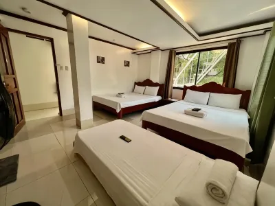 Alocasia Hostel