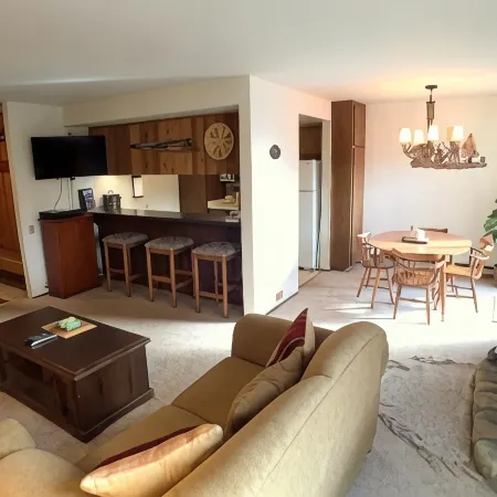 1 Bedroom Standard Condos