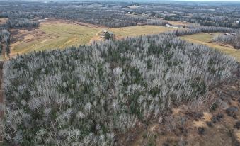 Barnum Cabin on 30 Acres w/ Soo Line Trail Access!