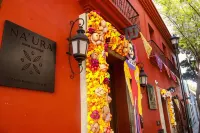 Hotel Boutique Naura Centro Hotels in 