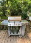 Molly Branch Cottage- Beautiful Private Setting, 5 Star ABNB, Newly Listed VRBO - 4-Star