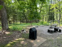 Bear's Den, A cozy 3-bedroom cabin in mature woods on Neebish Island with WiFi