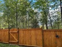 Quiet Private Suite in a Forest Setting w/Parking | Great Value, Near Vancouver. 메이플리지 호텔