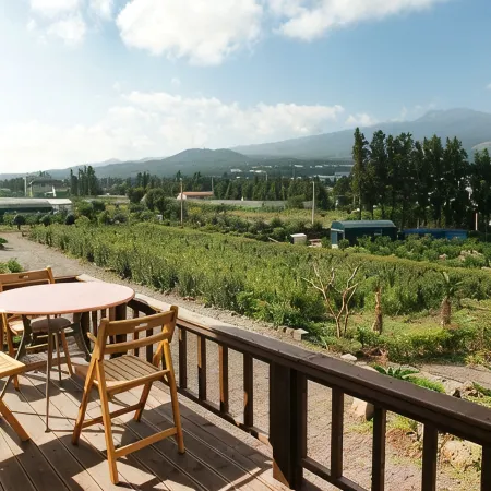 Seogwipo Jeju Hyeyum Pension Отели рядом с достопримечательностью «Атлетический парк Сусан»