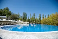 Avenue Park Hotel - piscina
