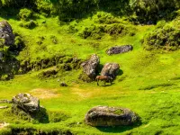 Wanchi ija eco lodge By Ethiopian Skylight - 4 звезды