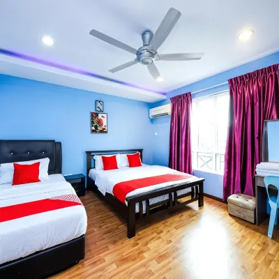 Borneo Inn Hotels near L.O.S.T Borneo Jungle Trekking