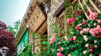 chuanshang Impression Homestay Hotel - Inns