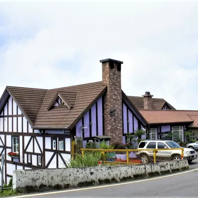 Maple Leaf Holiday Villa Hotels near Cingjing
