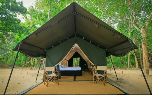 Leopard Trails Wilpattu - Luxury