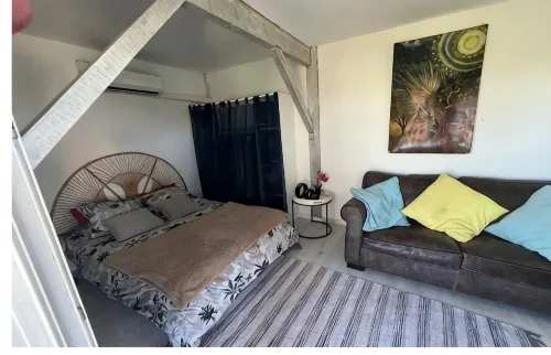 Atypical, set on the beach with direct access, swimming pool, barbecue, pets allowed