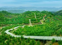 For Tea Homestay - con vista montagne