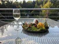 Vacation home "Fuxbau" close to nature on the edge of the Dahlener Heide - Homestays
