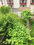 Casa con Terraza y Jardín al Lado del Camino De Santiago