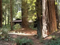 The Groves at Redway Beach - Studio - Apartments