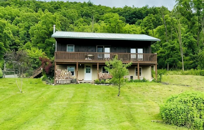 Mountain View Cabin