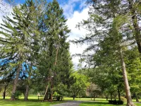 Water Front Cottage Pine Creek Rail Trail Pennsylvania's 2026 Trail of the year! - Country Houses