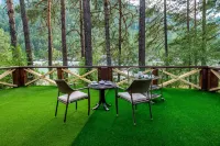 Kedroviy Ostrov (Сhemal) Hotel - parking