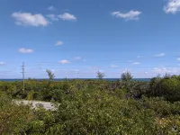 Sea Shanty -  Ocean view, Private pool, Walk to Beach, Prime Central Location. - Homestays