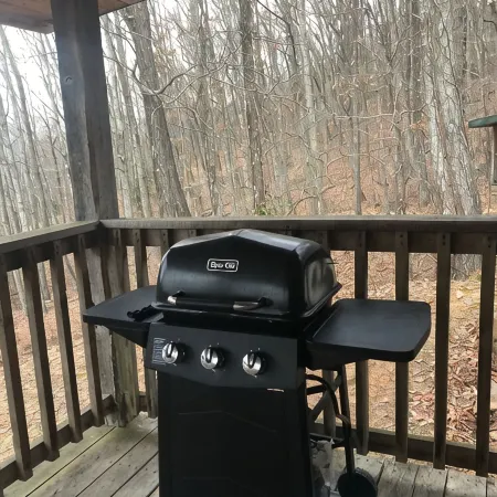 Family cabin with whirlpool tub (cabin #2)