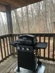 Family cabin with whirlpool tub (cabin #2) - 2 étoiles