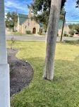 Gem on Spring-Upscale home walk to Main sleeps 11 - 3-Star