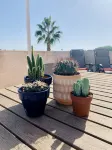Beautiful apartment 2ch 2sdb Las Ramblas Golf Orihuela - 2 tähden
