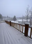 Red Feather Lakes Cozy Log Cabin