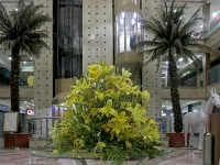 The Residency Hotel