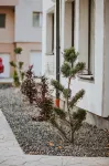 The Nook Aparthotel - Balkon