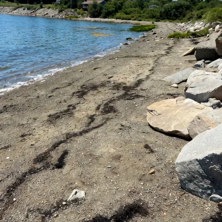 Duck Cove Cottage overlooking beautiful Blue Hill Bay