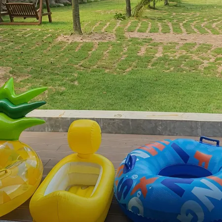 Wonju Gwirae 630 Dog Pool Villa