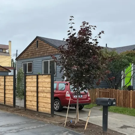 Newly Remodeled Charming Cozy 3-bedroom house in Anchorage with WiFi