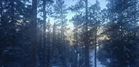 Black Hills SD Deadwood, Privacy, Comfort & Convenience with Breathtaking Views - Homestays