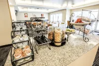 TownePlace Suites Laconia Gilford - ペット同伴可