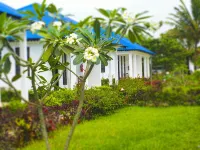 Kigwedeni Villas - Villas