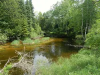 Cabins on Maple River - Alppimaja