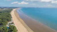 Taean Amado Pension - Wifi