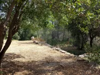 Provencal cottage surrounded by olive trees for lovers of calm and nature. Hôtels à : Ceyreste
