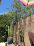 Tranquil Oasis! 3 Bdrm Home with No Fee Heated Pool- Hot Tub!  Great Location!! - Wifi