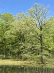 Cabin where the black top ends… Cabin 2 - Hytter