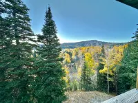 Ski in/Ski Out Cabin. 5 Bedrooms. 4 King Beds. Bunk Room. Fast WiFi. Sleeps 25+ - 4星級
