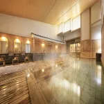 Ryokan Tanigawa - Hot Springs