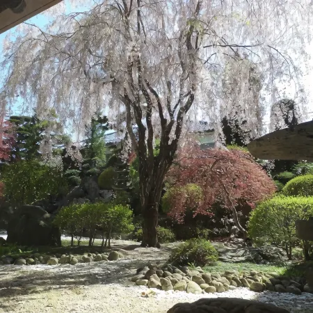 Hotel Nakamuraya
