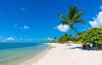 Beach+Dock+Pool with Heater & Chiller +Pets+Firepit+TiKiBar+Generous Parking - 피트니스 시설