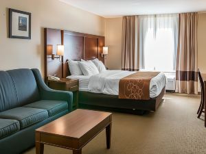 Comfort Suites Wixom / Novi