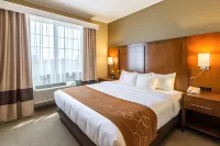 Comfort Suites Burlington Hôtels à : Burlington