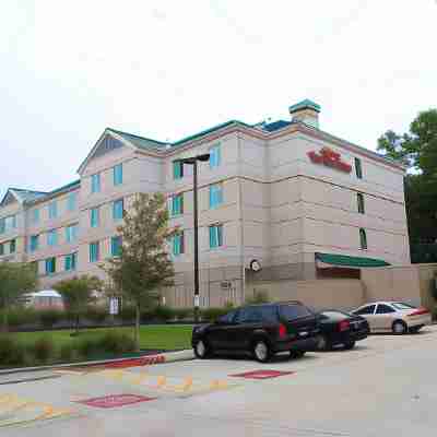 Hilton Garden Inn Houston/The Woodlands Hotel Exterior