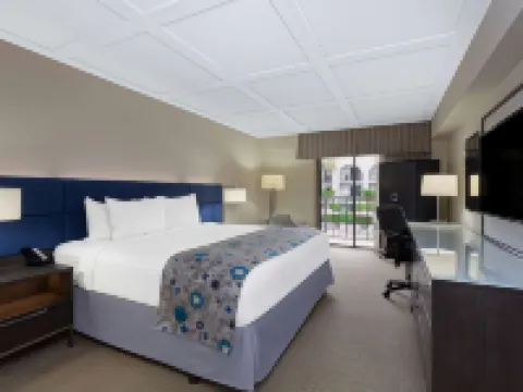 ウィンダム ボカ ラトン ホテル ボカラトンのホテル