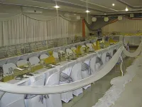 Mashamba Country House Hotels in Ka-Siandana